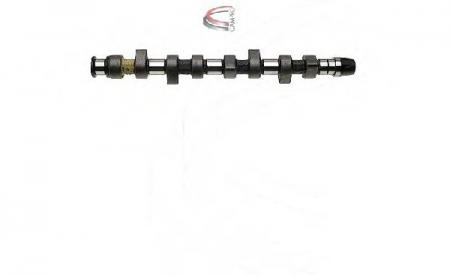 NOCKENWELLE VAG 1, 9TD CP10213
