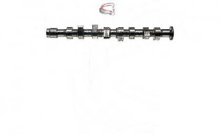 NOCKENWELLE VAG CP10232