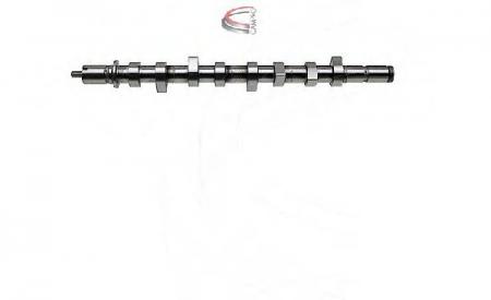 NOCKENWELLE RENAULT CP11449