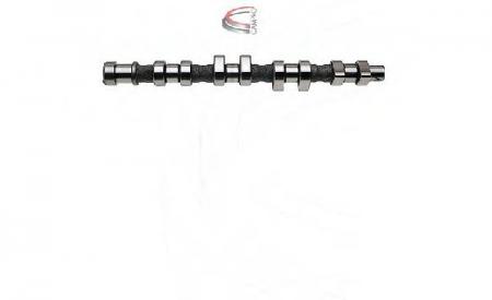 NOCKENWELLE OPEL 1, 6L 16V CP12236