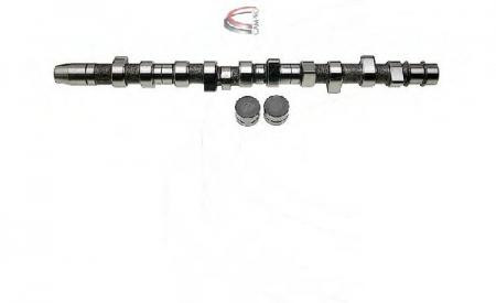 NW-KIT VAG 2, 4L TD HYDRAU CP60287