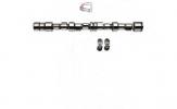 NW-KIT OPEL 1, 2L X12SZ OH CP62219