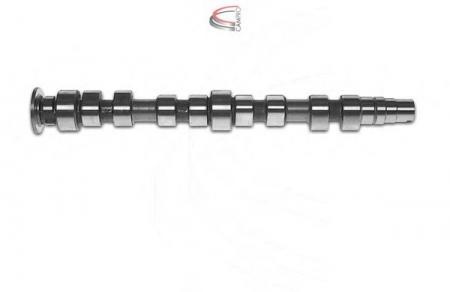 NOCKENWELLE CP10279