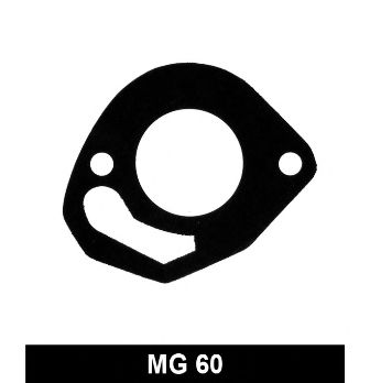 ,  MG-60