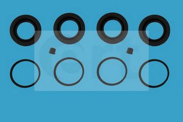 РЕМКОМПЛЕКТ ТОРМОЗНОГО СУППОРТА RENAULT: CLIO III 05-, MEGANE II 02- 400904