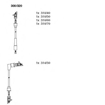    300320