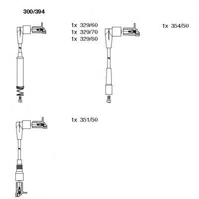    300394