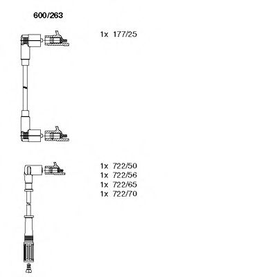   600263