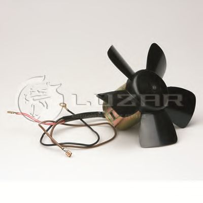   2101 LUZAR   LFh 0101