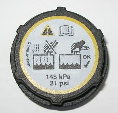  .  FORD FOCUS II LL1033