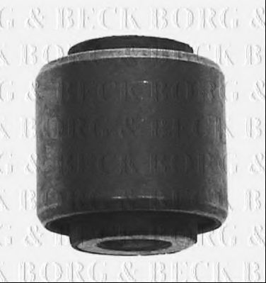    BSK6197