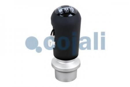   2880133 Cojali