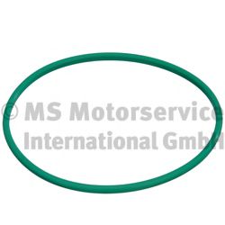 KRAFTSTOFFTANKDICHTUNG 3.32038.01.0