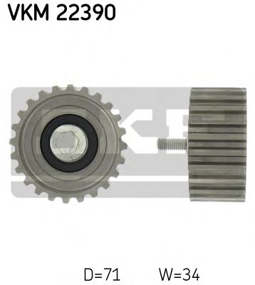     VKM22390