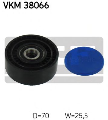   VKM38066