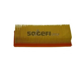   CA5519
