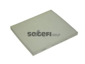 ,    CF10248