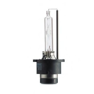   D2S XENON VISION 4600K (4600K,          ,     85122VIC1