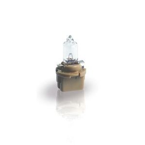  BAX 12V 3W B10d Brown (  52805273) 12614CP PHILIPS