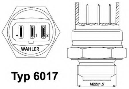  6017.85D