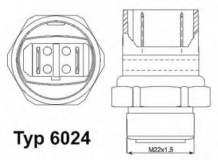    6024.95D
