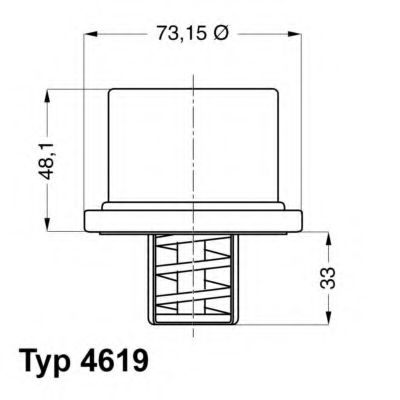 ТЕРМОСТАТ VOLVO FL/FM12 CURSOR DAF 85CF/95[1293885 4619.86