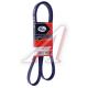 6PK1573 Gates
