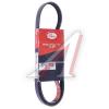 5PK1103 Gates