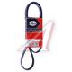 5PK1355 Gates