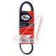 3PK913 Gates