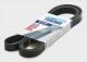 BP6PK1305 Finwhale