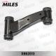 DB62013 MILES