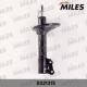 DG21315 MILES