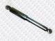 AR343307 autoSFEC