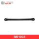 BR1003 Birth