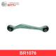 BR1076 Birth