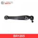 BR1205 BIRTH