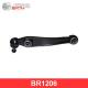 BR1206 BIRTH