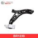 BR1239 BIRTH