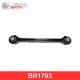 BR1793 BIRTH