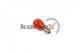 KBA0053 Kortex