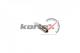 KBA0071 Kortex