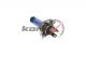 KBA2012 Kortex