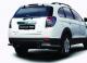 CCAP761517 Novline / Element