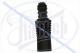 QZ1548402 QUARTZ