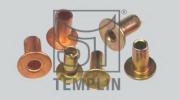 030607450500 TEMPLIN