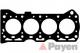 AG5220 PAYEN