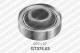 GT37403 SNR
