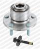 R17041 SNR