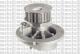 24-0541A METELLI